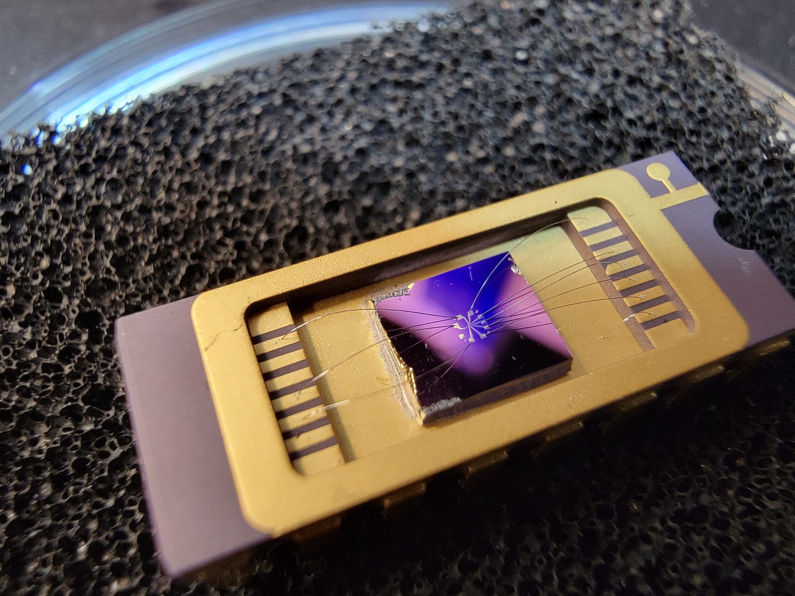 2D Graphene Quantum Device made in the Sanchez-Yamagishi Lab